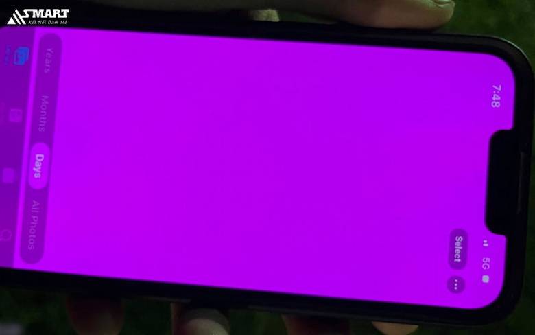 Người dùng iPhone 13 Pro đã gặp phải sự cố màn hình tự động chuyển sang màu hồng