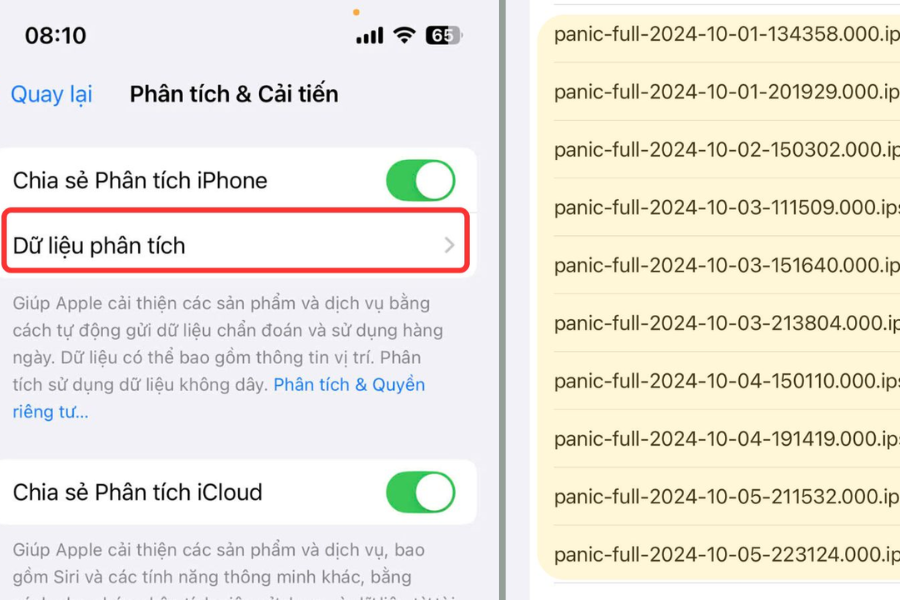 Lỗi Panic Full