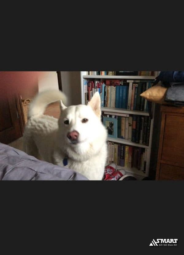 Cách 1: Thực hiện xoay video từ việc chỉnh sửa video gốc