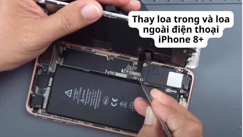 Thay loa trong và loa ngoài điện thoại iPhone 8+
