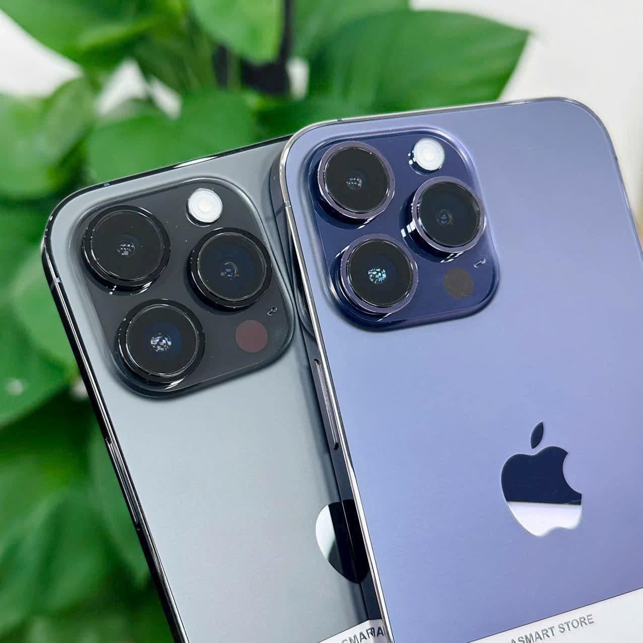 iPhone 15 camera đỉnh