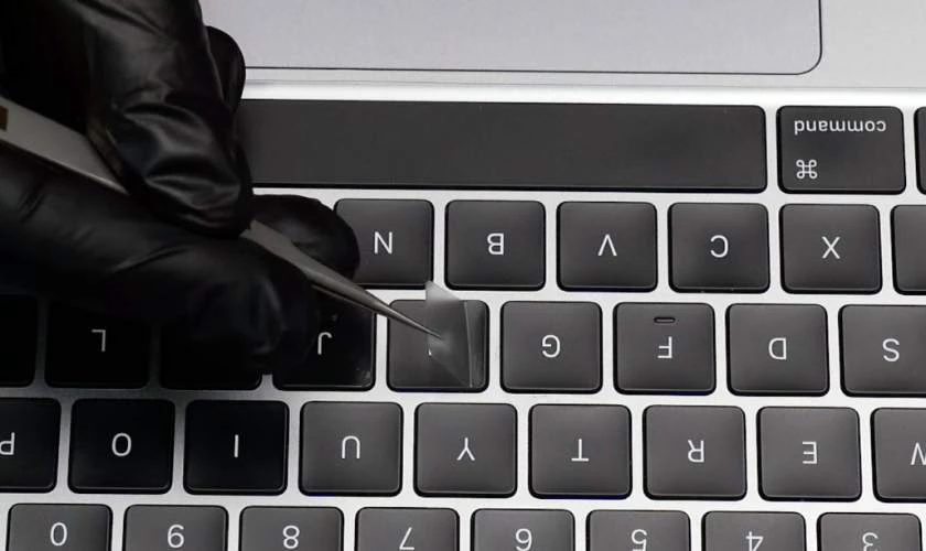 Bàn phím và trackpad hàng đầu phân khúc